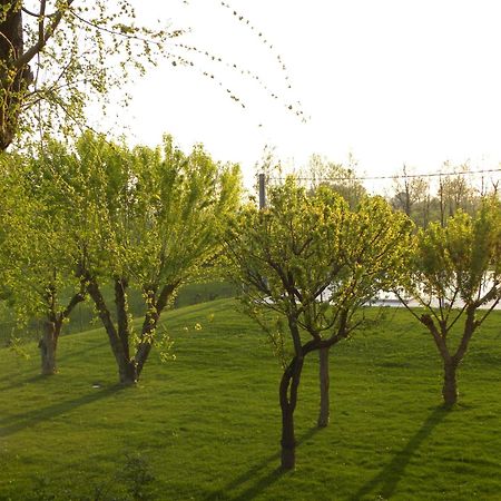 Agriturismo Feliciana Pozzolengo Zewnętrze zdjęcie