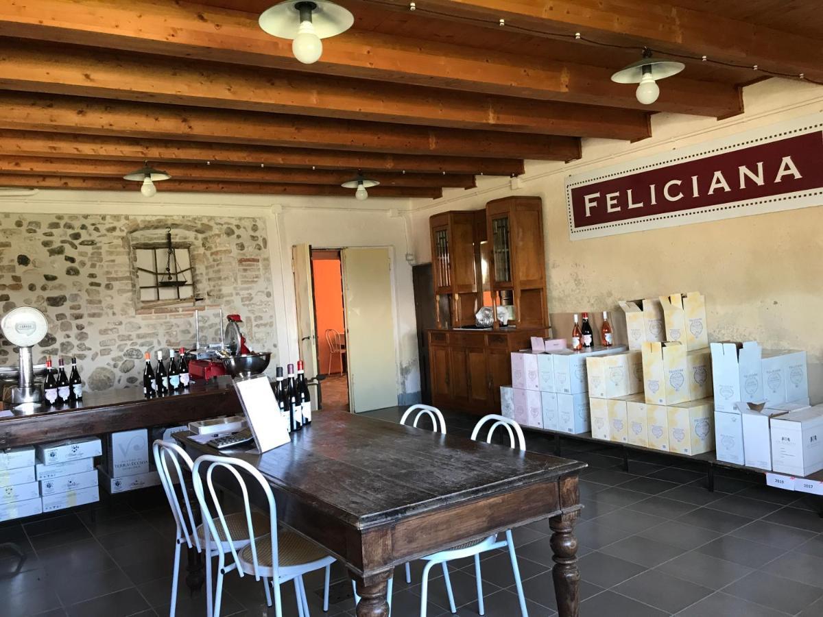 Agriturismo Feliciana Pozzolengo Zewnętrze zdjęcie