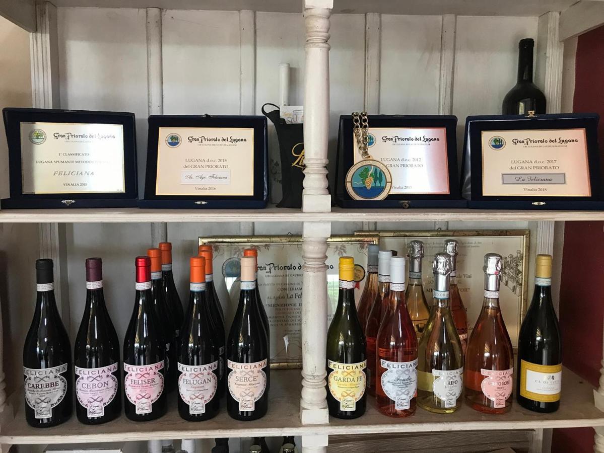 Agriturismo Feliciana Pozzolengo Zewnętrze zdjęcie