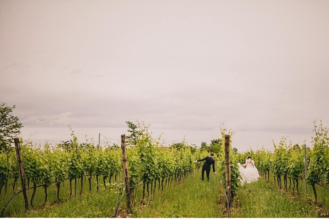 Agriturismo Feliciana Pozzolengo Zewnętrze zdjęcie