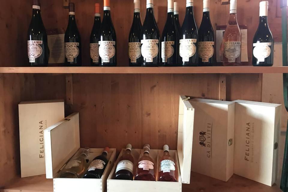Agriturismo Feliciana Pozzolengo Zewnętrze zdjęcie