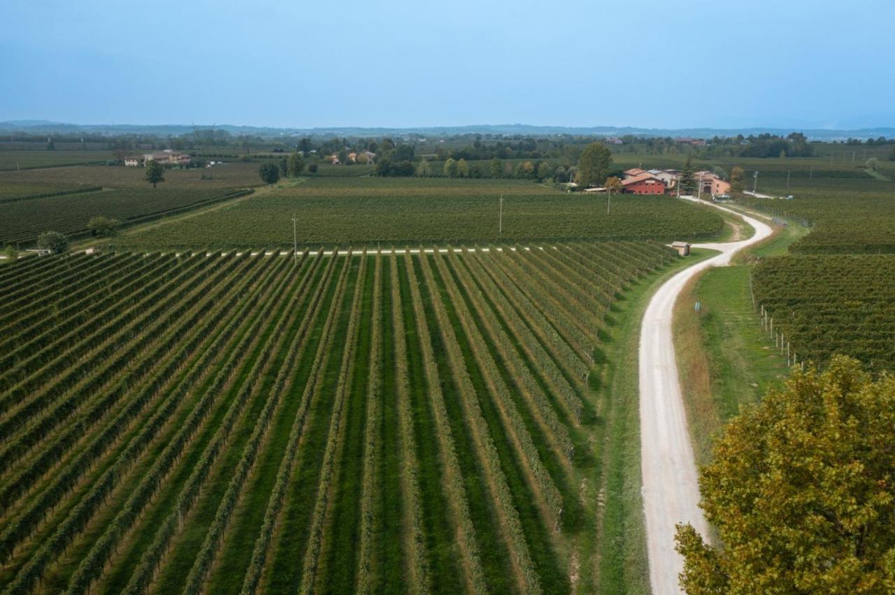 Agriturismo Feliciana Pozzolengo Zewnętrze zdjęcie