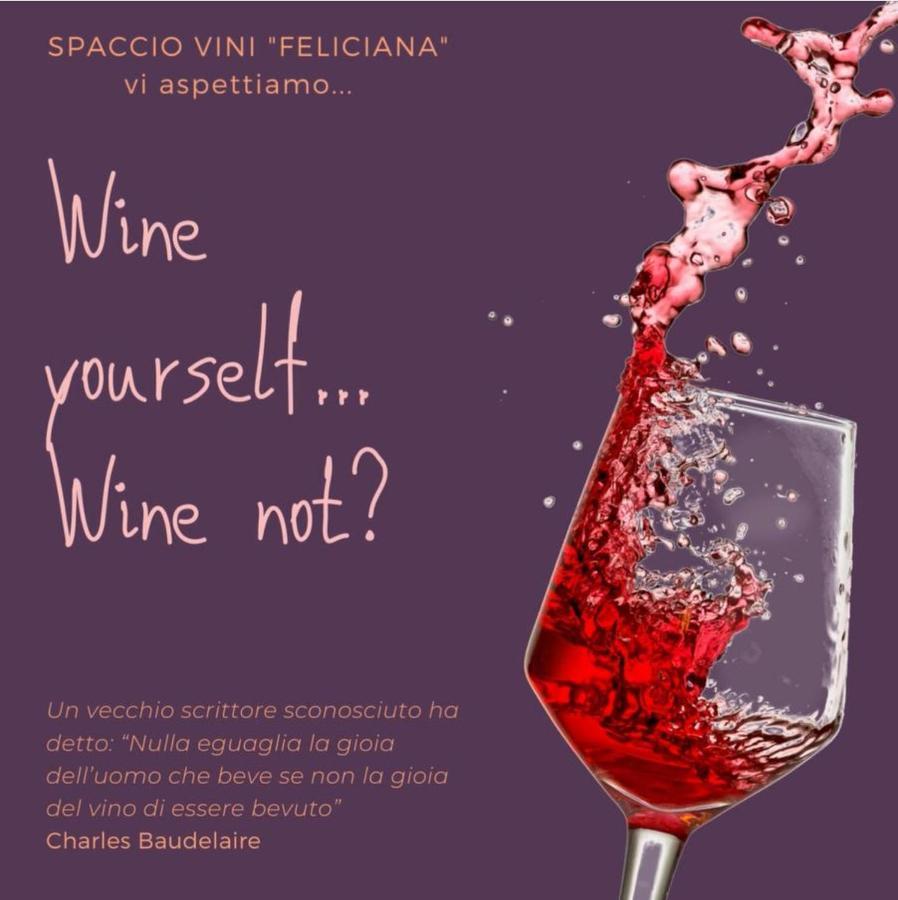 Agriturismo Feliciana Pozzolengo Zewnętrze zdjęcie
