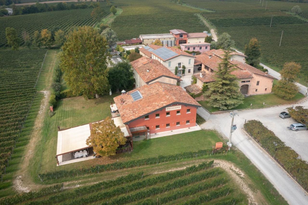 Agriturismo Feliciana Pozzolengo Zewnętrze zdjęcie
