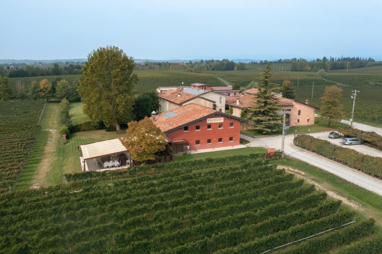 Agriturismo Feliciana Pozzolengo Zewnętrze zdjęcie